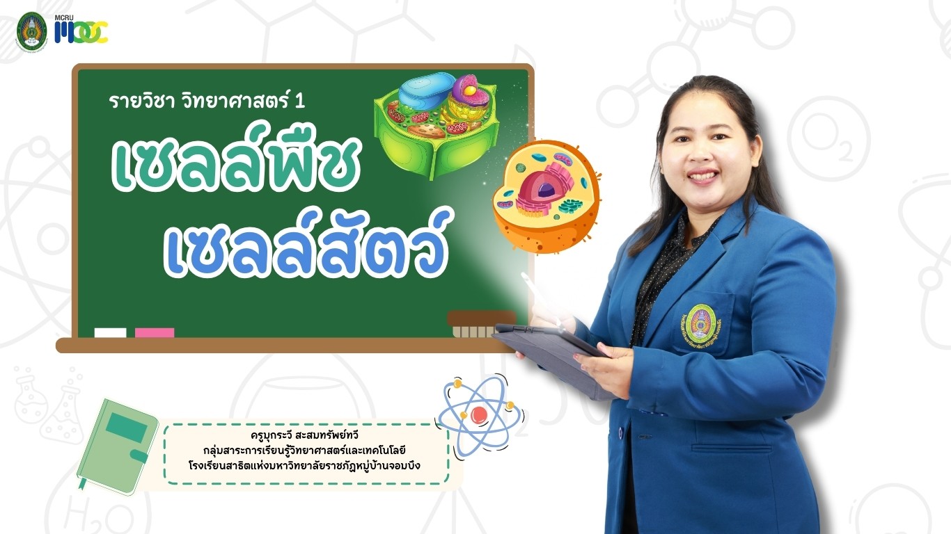 เซลล์พืช